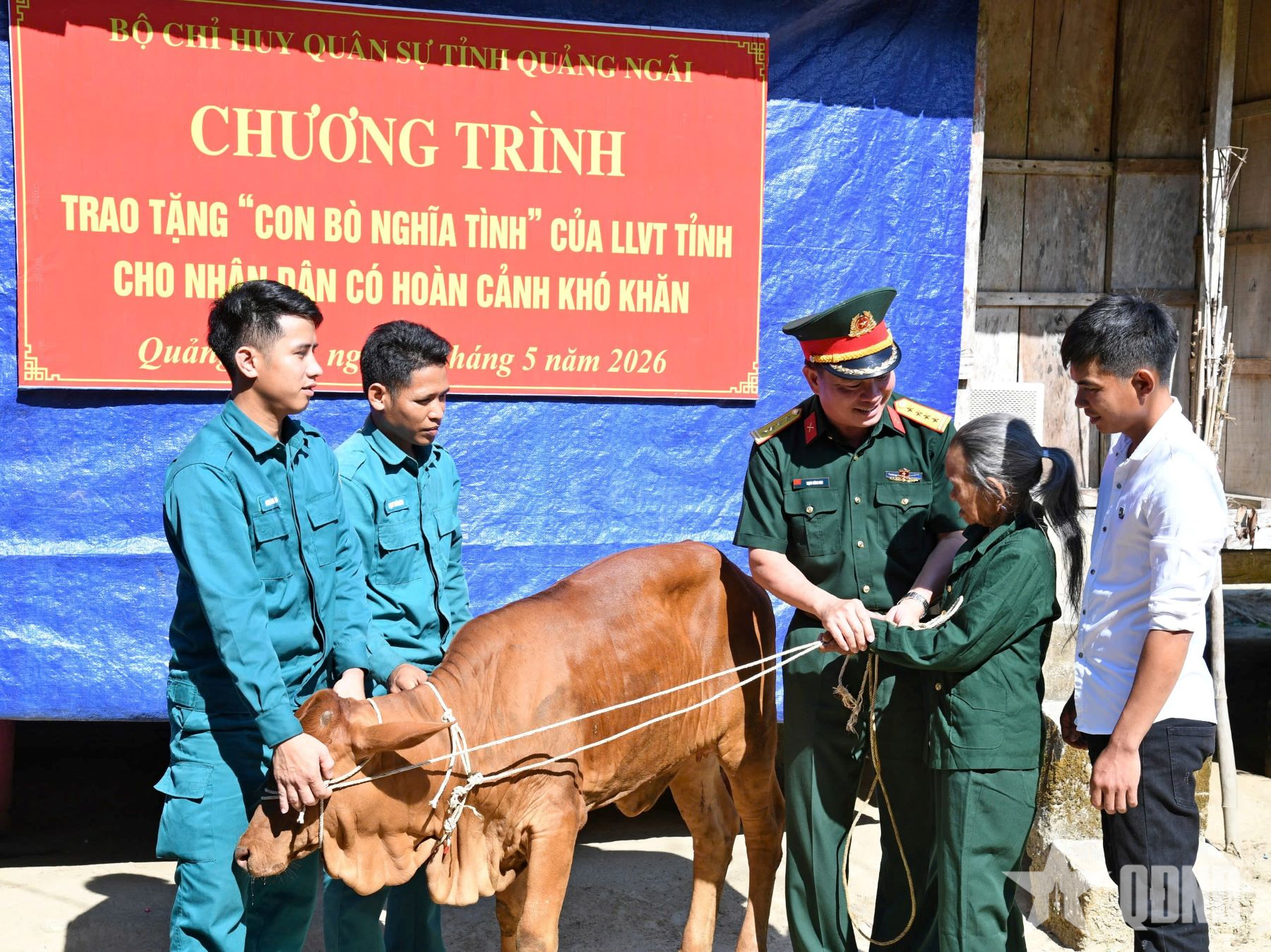 Bộ CHQS tỉnh Quảng Ngãi: Hiệu quả thiết thực từ mô hình “Con bò nghĩa tình” 